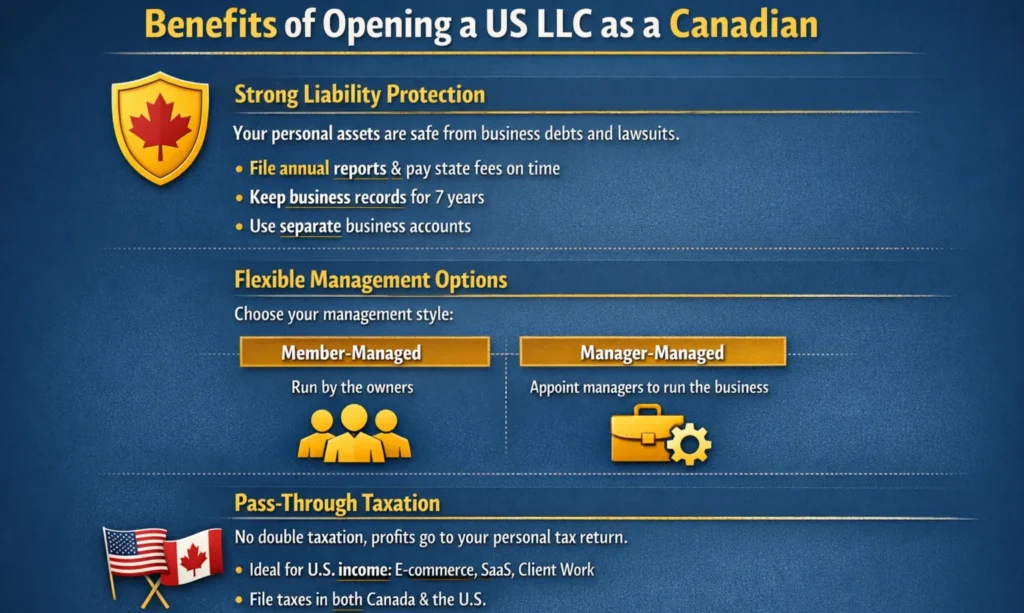 Benefits of Opening an LLC in the US As a Canadian