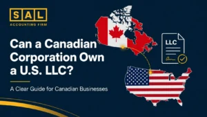 Can a Canadian Corporation Own a US LLC A Complete Guide