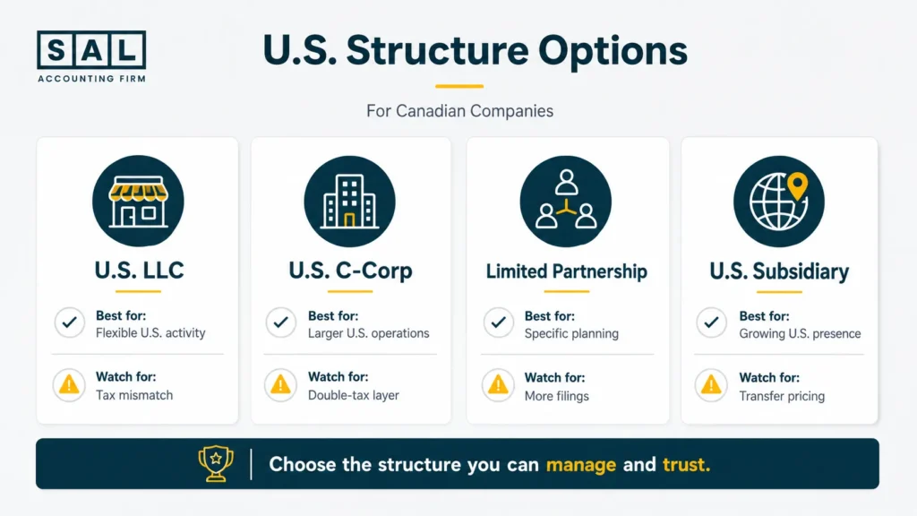 U.S. Business Structure Options for Canadian Corporations