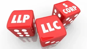 LLC vs LLP vs S Corporation business structure