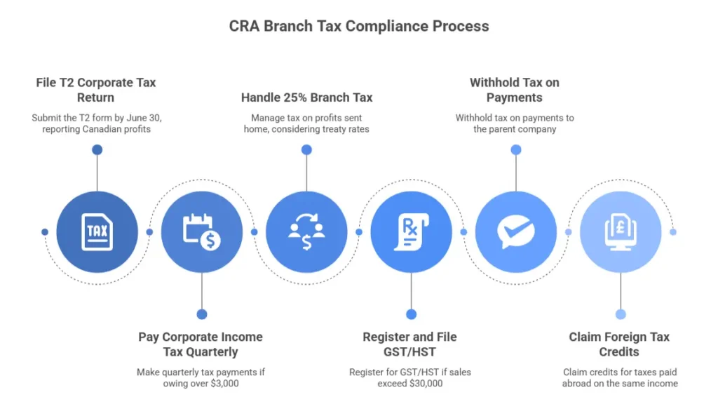 CRA Branch Tax Compliance Process