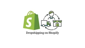Which Shopify Plan Is Best for Dropshipping businesses?